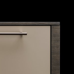 Mobiler Arche Container auf Rollen