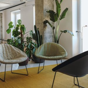 Schale aus recyceltem Polypropylen