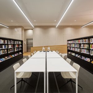 Sichtblende montiert an einem Arper Nuur Arbeitsplatz