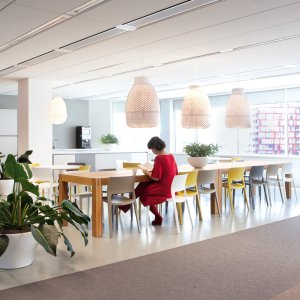 Designerstühle von Arper: die Kollektion Juno 02