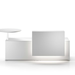 Furnier-Regal in Eiche Tabak mit Massivholzkante