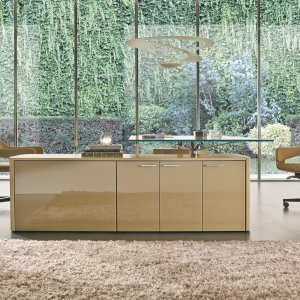 Chefbüro mit Schreibtisch und Container