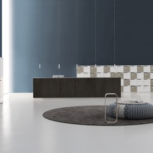 Qubo von DVO Office, gerades Modul 166 cm mit Empfangstop