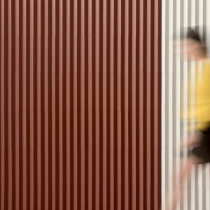 Querschnitt des dreieckigen Rombini-Profils