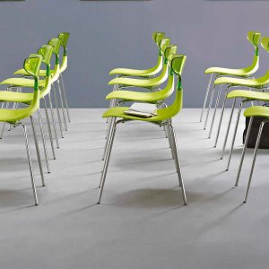 Ska Shark auf Rollen