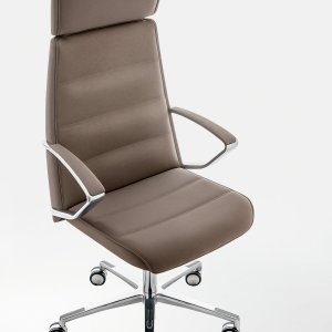 Anwaltsbüro mit einem Klivia hinter dem Pult