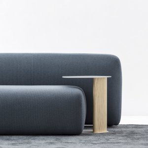Organische Volumen der Kollektion Suiseki