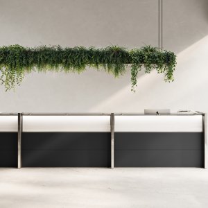 ESG-Glasbord der Empfangstheke Nice auf gedrehten Edelstahlstützen