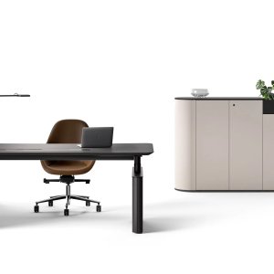 Frontblende mit Radius an einem Otto Schreibtisch von Martex