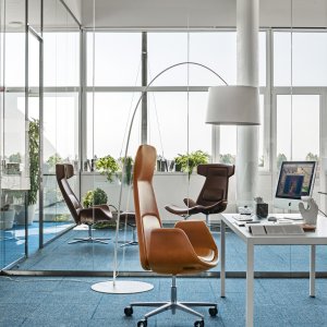 Zweifarbiger Nordic mit kontrastierender Schale