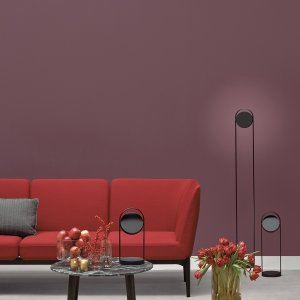 Gleiter aus Technopolymer unter einem Social Bein