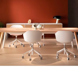 Seela von Lapalma im Sitzungszimmer am Tisch
