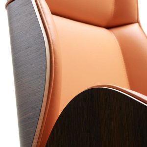Vaghi Suoni im Sitzungszimmer